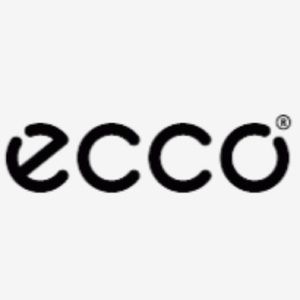 Ecco shoes Brand New